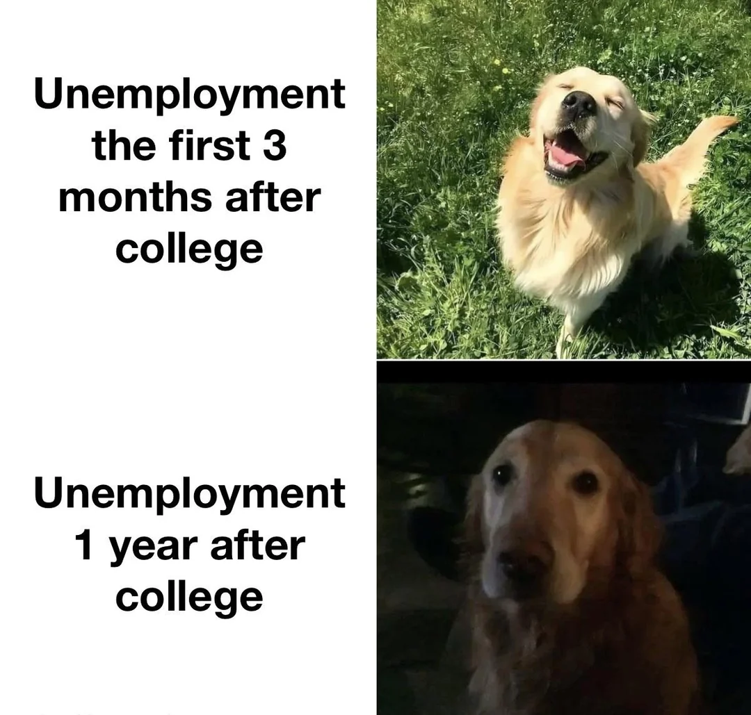 Meme: a happy golden retriever labeled 'Unemployment the first 3 months after college' above a sad golden retriever labeled 'Unemployment 1 year after college'